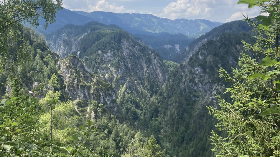 Foto Bäumen und Bergen.