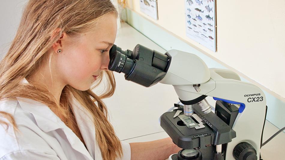 Schülerin am Mikroskop
