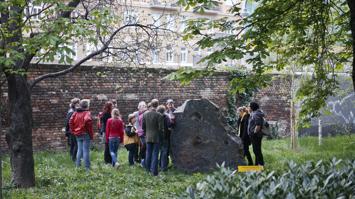 Steinkreis in Garten