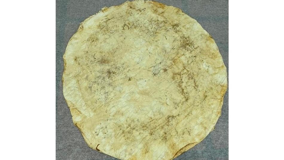 Pilzbasiertes Ledersubstitut