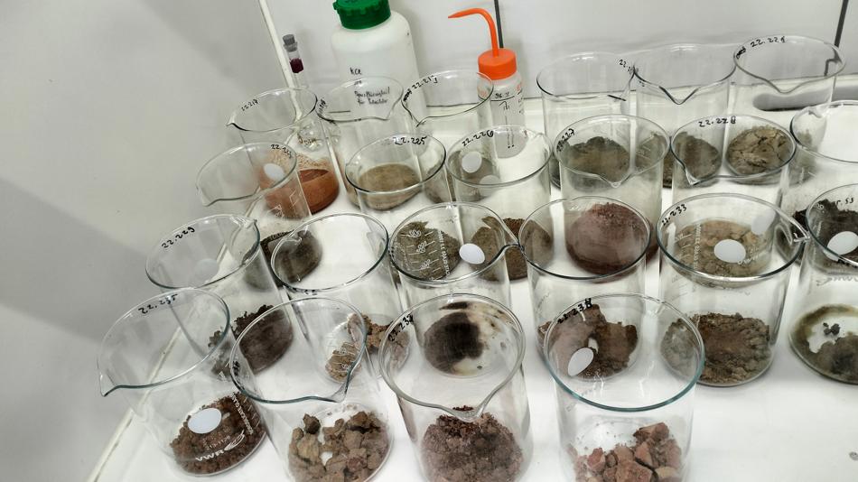 Bechergläser mit unterschiedlich strukturierten Bodenproben im Labor