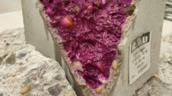 Aufgebrochener Betonwürfel im Labor mit pink gefärbter Bruchfläche zur Sichtbarmachung der Karbonatisierung