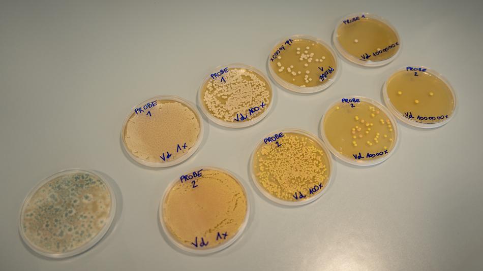 Arbeiten im Chemielabor