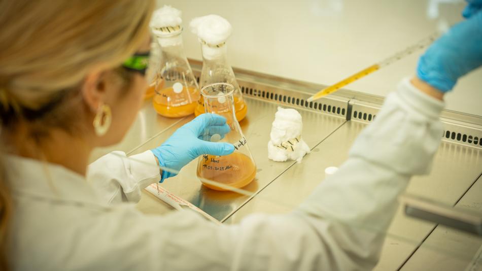 Arbeiten im Chemielabor