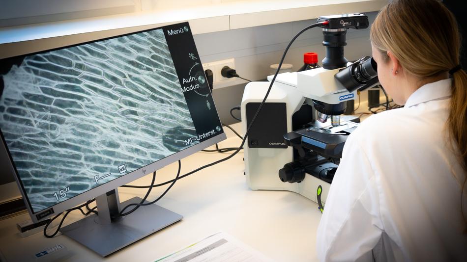 Arbeiten im Chemielabor