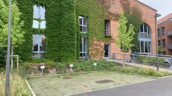 Backsteingebäude mit großflächiger Fassadenbegrünung und moderner Glasfront