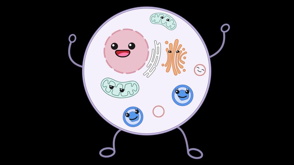 Illustration einer fröhlichen, cartoonhaften Zelle mit Gesicht, Armen und Beinen sowie sichtbaren Zellorganellen im Inneren