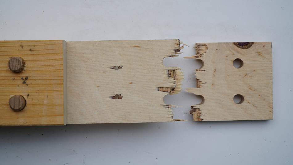 Holzprobe mit mechanischer Bruchstelle nach Belastungstest