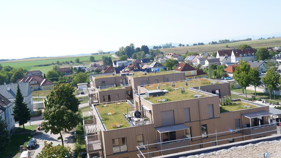 Dachbegrünung mit Wassermanagement