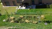 Gartengestaltung mit Wassermanagement