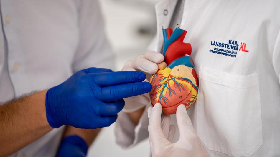 KL Krems - UK St. Pölten