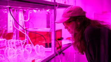 Blick ins Labor - Science in the Makinng