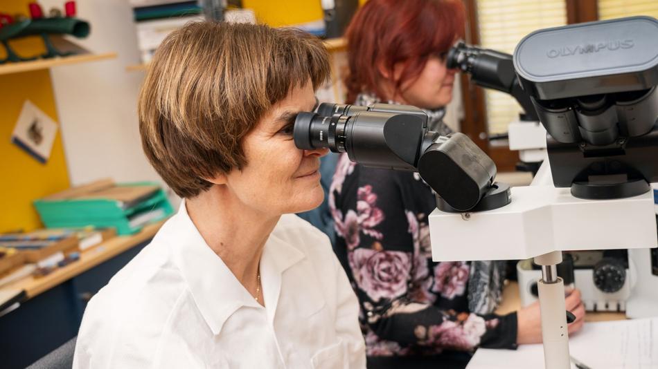 Zwei Wissenschaftlerinnen untersuchen Probem unter dem Mikroskop