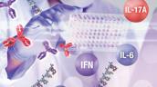 Immunoassay