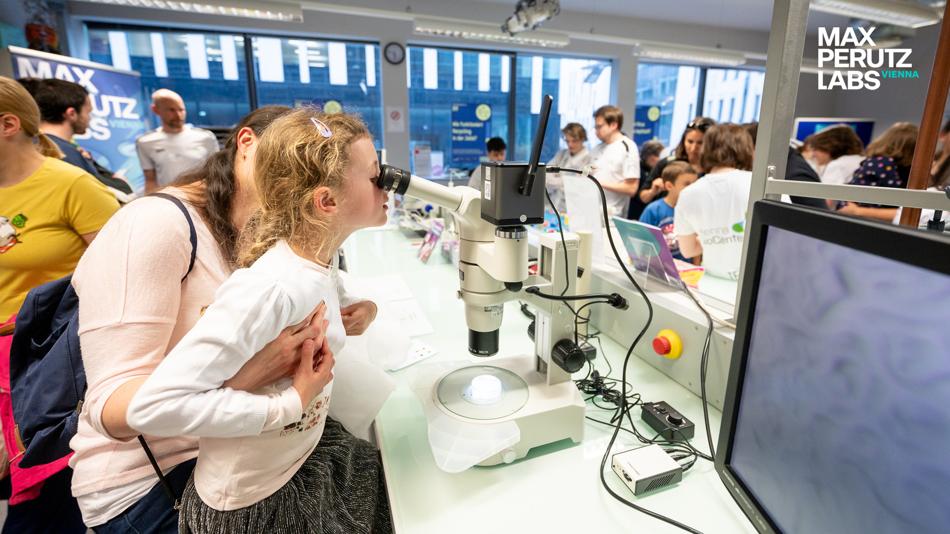 Kind am Mikroskop
