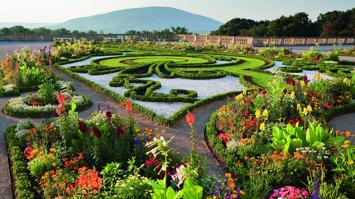 Broderiebeet Schloss Hof