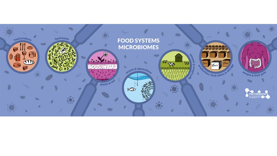 Food Systems Microbiomes