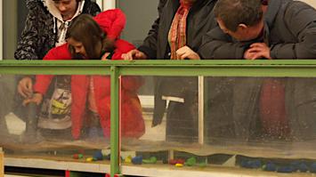 rollende Steine im Fluss