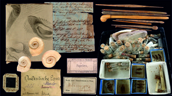 Collage aus historischen wissenschaftlichen Objekten: eine Bleistiftzeichnung eines Gesichts, handgeschriebene Notizen, Schnecken­schalen, hölzerne Präparierwerkzeuge sowie kleine Glasfläschchen und Kästchen mit konservierten Insekten und Naturproben