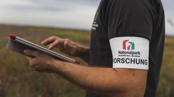 Forschungs im Nationalpark