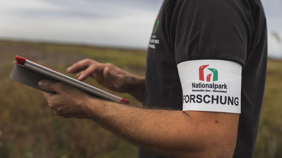 Forschungs im Nationalpark