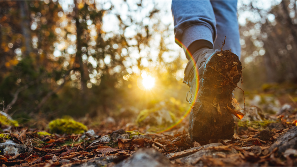 Fuß wandern Natur