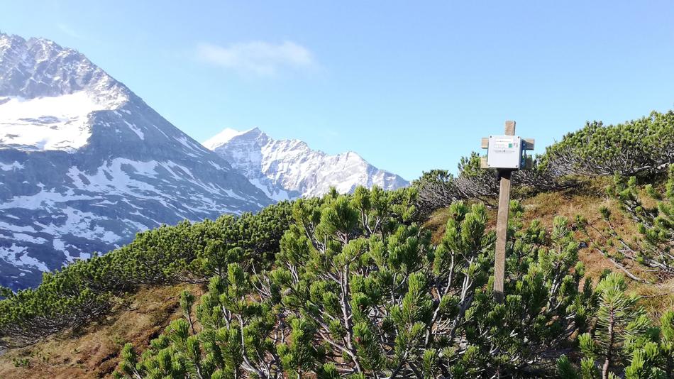 Digitales Monitoring mit KI