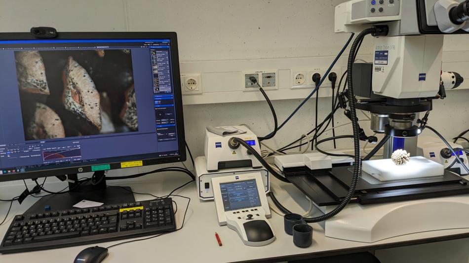 Mikroskop-Arbeitsplatz mit Monitor und Analysegerät im Labor