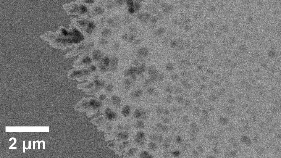 Kupfer Dendriten im Elektronenmikroskop
