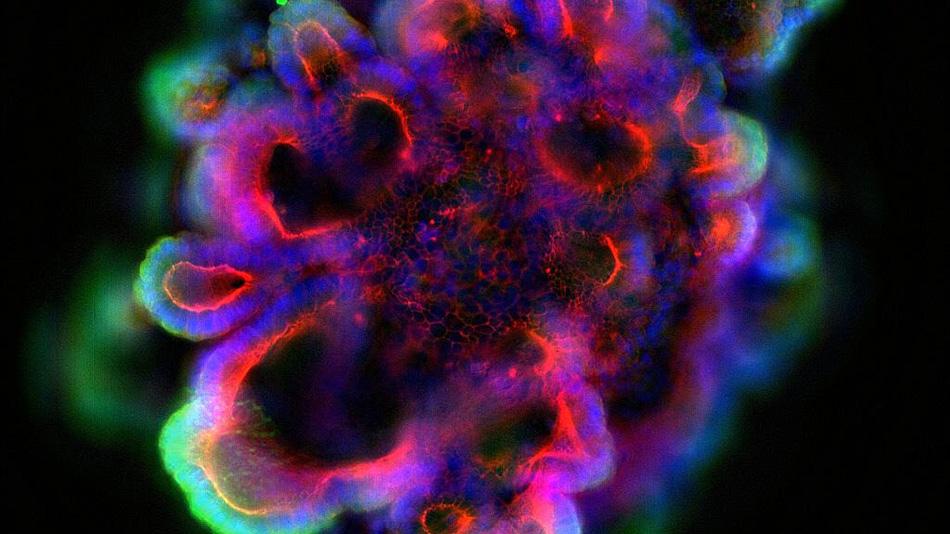 Bunt leuchtende Struktur vor schwarzem Hintergrund