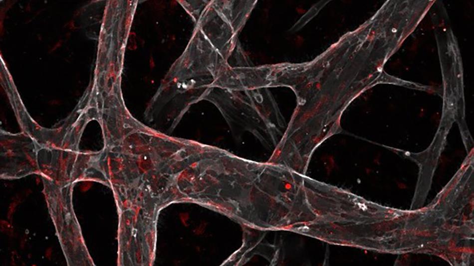 Gewebestruktur vor schwarzem Hintergrund