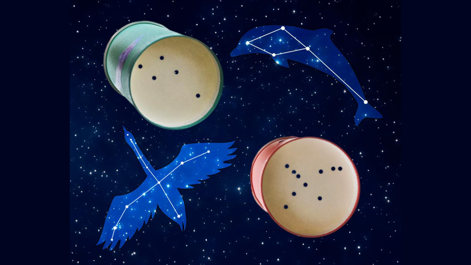 Papierbecher-Konstellationen zum Projizieren