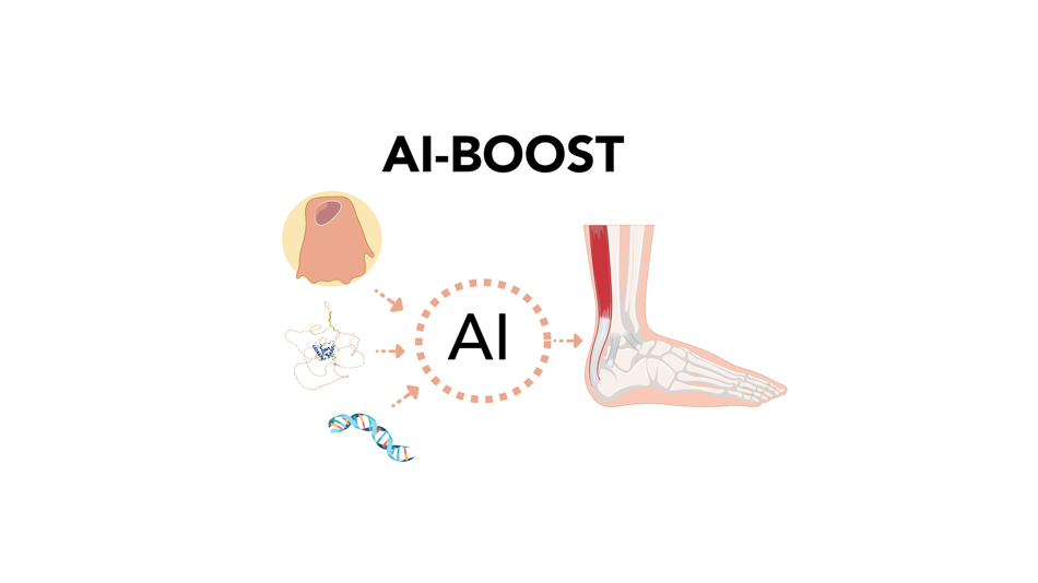 AI-BOOST 2