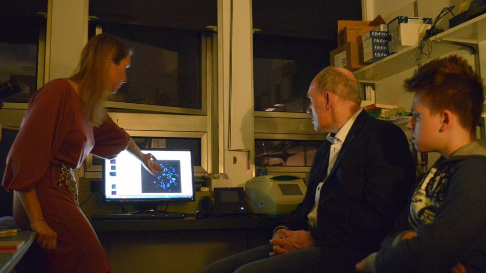 Analyse und Interpretation wissenschaftlicher Daten