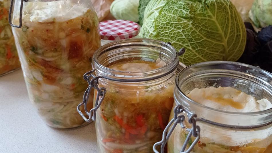 Food Coop Solawi Fermentieren
