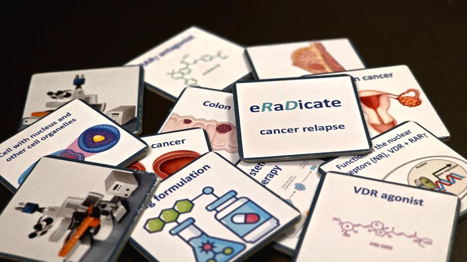 Krebsstammzellen im Visier