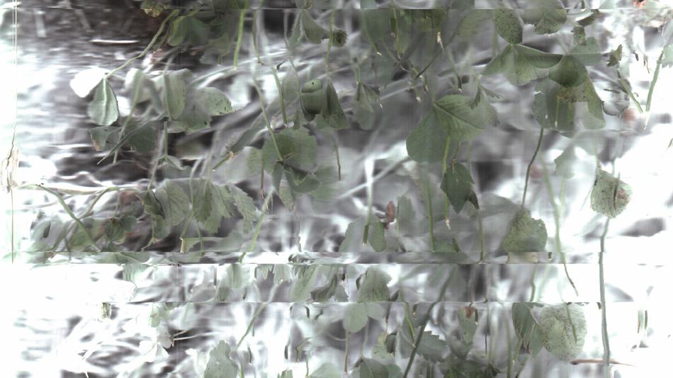 PhD in the Arts - Francesco Pizzocchero