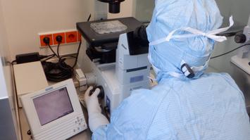 Zellzählen am Mikroskop