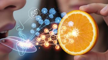 Riechen und Schmecken einer Orange