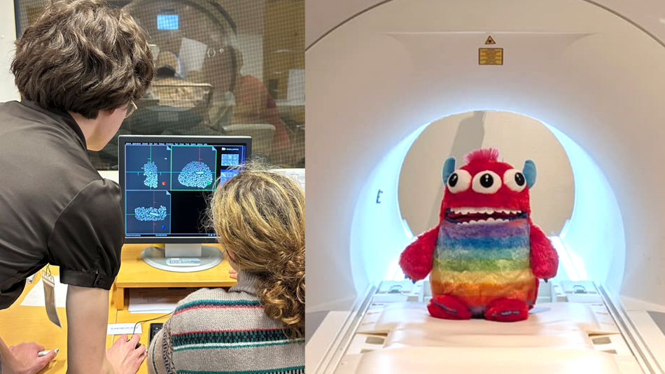 Wie läuft eine MRT Untersuchung ab?