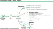 Das Bioraffinerie-Konzept in Lenzing, AT