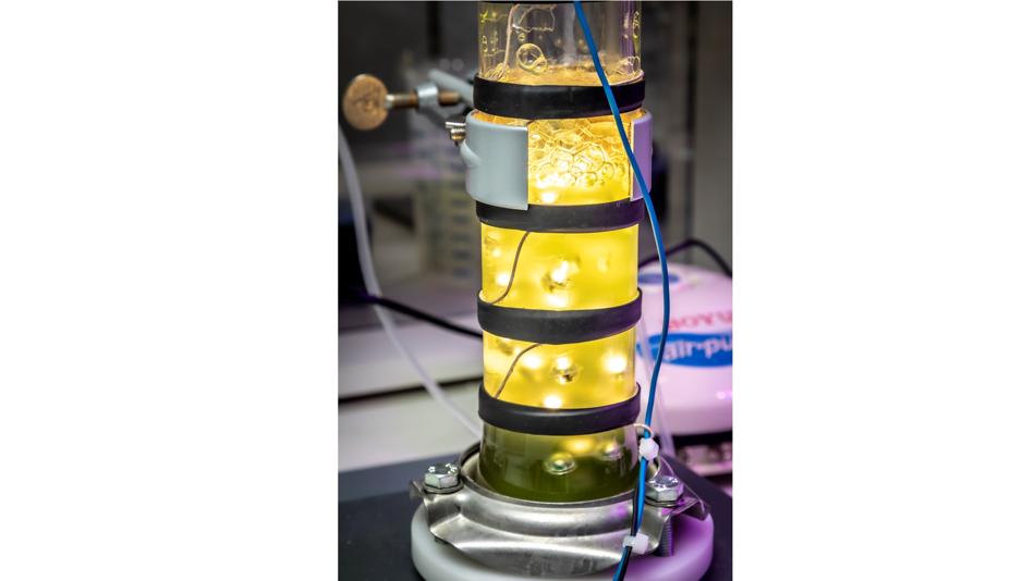 Bubble column reactor for upscaling cyanobacterial biotransformations