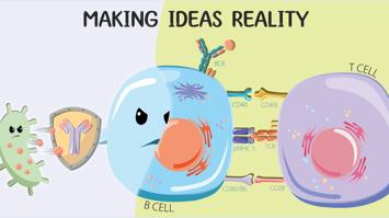 Allergie in der Petrischale