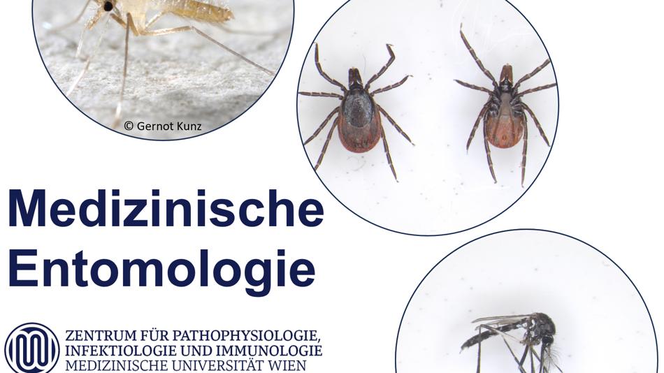 Medizinische Entomologie