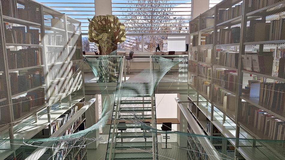 Bibliothek der PHS_LNF26