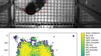 Verhalten mit AI entschlüsseln