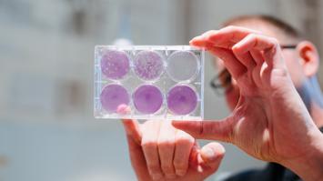 Virus-Detektiv:innen