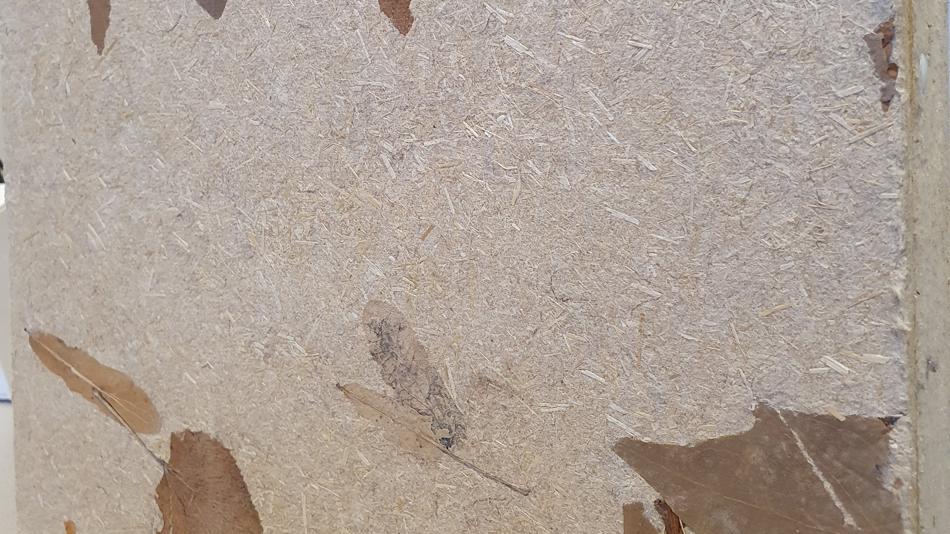 Schalldämmende Zwischenwand