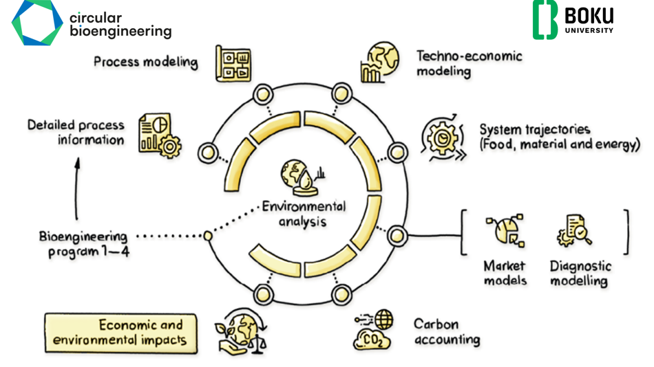 Kreislaufdiagramm zur Umweltanalyse mit Prozess-, techno-ökonomischer und Marktmodellierung sowie Bewertung ökologischer und wirtschaftlicher Auswirkungen.