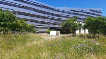 Wildblumenwiese Science Park